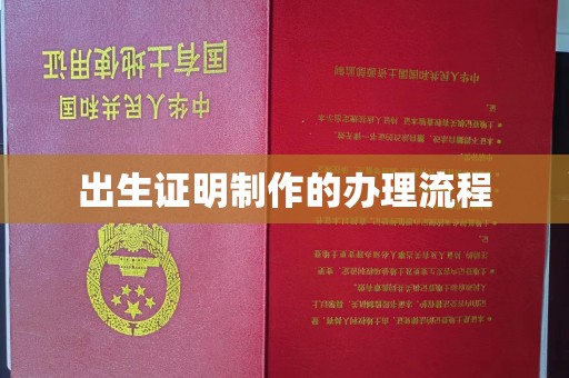 孝南出生证明制作的办理流程